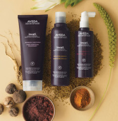 (Salon INSOLITE BEAUTE in Tokyo) recommended products 2 - AVEDA