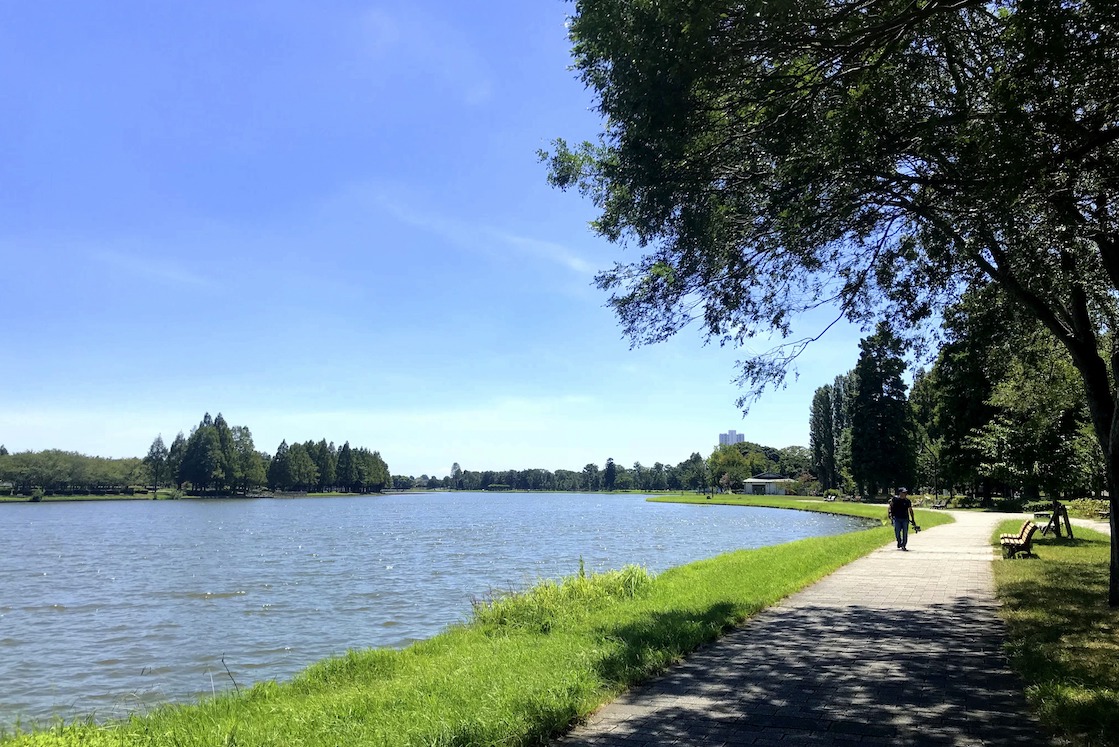 Mizumoto Park: The biggest park in Tokyo