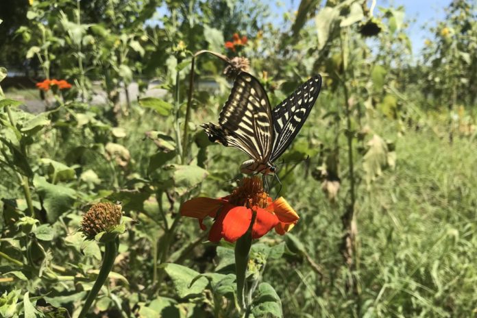 belleza Tokio & Diario de la salud – Mizumoto fin de semana en el Parque