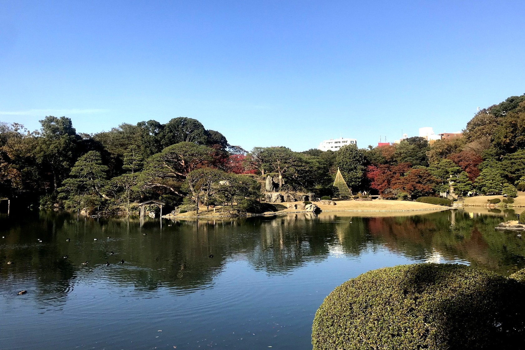 Rikugien Vườn Tokyo, Nhật bản