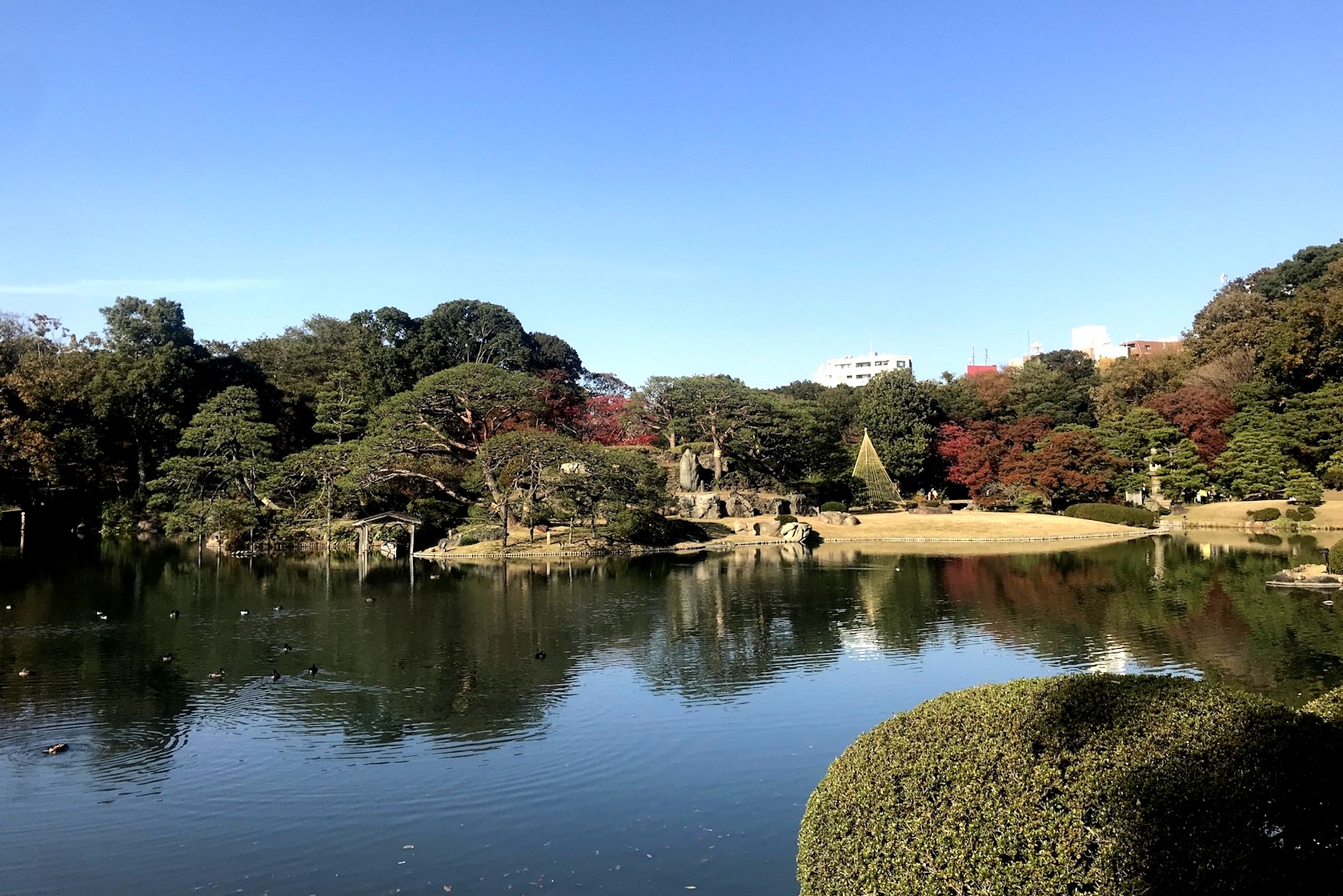 Rikugien Garden Tokyo, Jepang