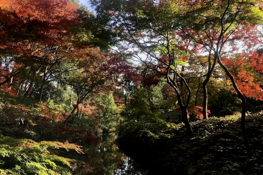 Rikugien Garden Tokyo, Japan